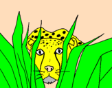 Coloring page Cheetah painted bysavannah