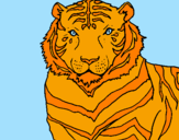 Coloring page Tiger painted bymaria