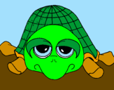 Coloring page Turtle painted bysille