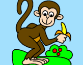 Coloring page Monkey painted bygigi 99 o pazz  :)