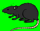 Coloring page Underground rat painted bysofie