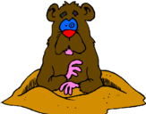 Coloring page Mole painted byjordy