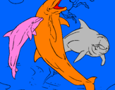 Coloring page Dolphins playing painted bysavannah