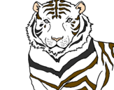 Coloring page Tiger painted byjulie 3.A