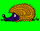 Coloring page Hedgehog painted bysavannah