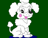 Coloring page Poodle painted byShannen