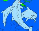 Coloring page Dolphins playing painted bysayde