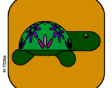 Coloring page Turtle 4 painted bysayde
