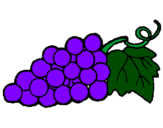 Coloring page bunch painted bygrape