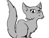 Coloring page Female Persian cat painted byimaimaimao
