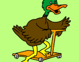 Coloring page Duck on scooter painted byGabriel-alonso-sanchez