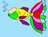 Coloring page Tancho fish painted byanonymous