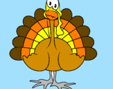 Coloring page Turkey painted byisa