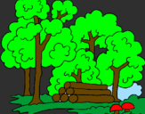 Coloring page Forest painted bycaue