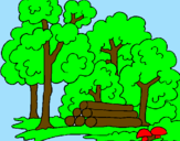 Coloring page Forest painted byn%uFFFD