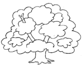Coloring page Tree painted byegatto