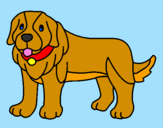 Coloring page Pigment the dog painted bymorgan miller