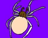 Coloring page Poisonous spider painted byreubenb