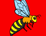 Coloring page Bee painted byGabriel-alonso-sanchez
