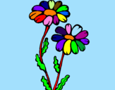 Coloring page Daisies painted bymaFFFDrapaz