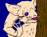 Coloring page Aye-aye looking for insects painted bysylvia