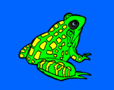 Coloring page Frog painted byfra