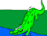 Coloring page Alligator entering water painted bysarasegura