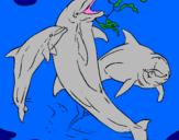 Coloring page Dolphins playing painted byaaricia