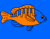 Coloring page Fish painted byfootball fish