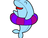 Coloring page Dolphin painted byGIULIA