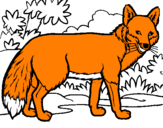 Coloring page Fox painted bymf