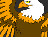 Coloring page Roman Imperial Eagle painted byrasta flow