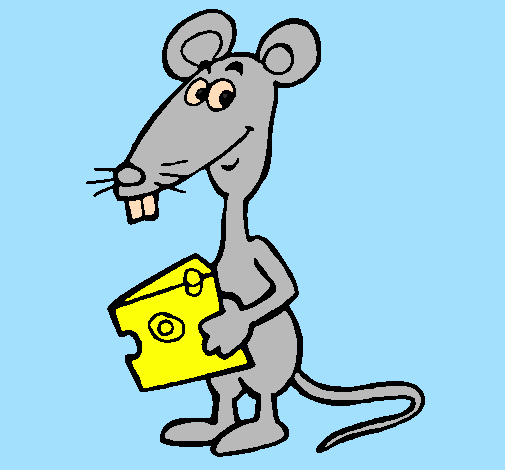Rat 2