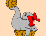 Coloring page Seal playing ball painted byAna