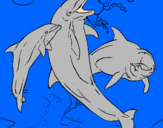 Coloring page Dolphins playing painted byatila