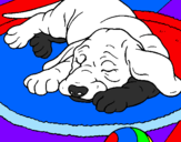 Coloring page Sleeping dog painted byangry bird