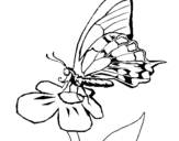 Coloring page Butterfly on flowe painted bytig