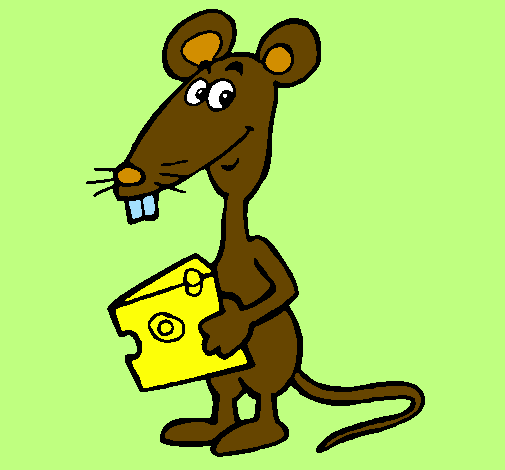 Rat 2