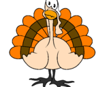 Coloring page Turkey painted byBETTY