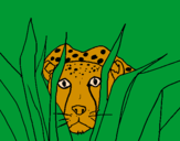 Coloring page Cheetah painted byAna