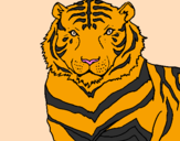 Coloring page Tiger painted byAna