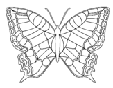 Coloring page Butterfly  painted by06470639