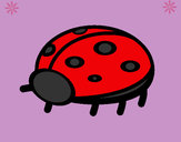 Coloring page Ladybird 4a painted byaliana