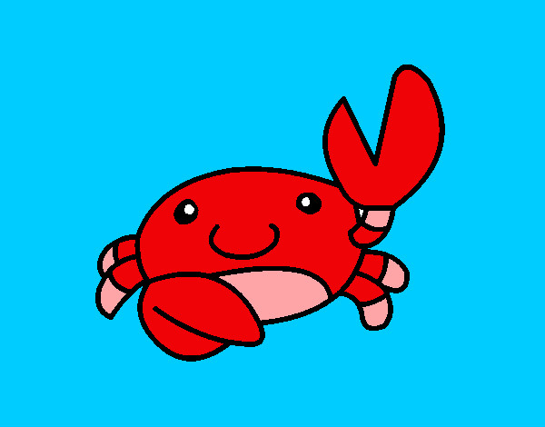 Little Red Crab