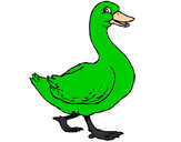 Coloring page Duck painted bySt8r53