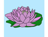 Coloring page Nymphaea painted bySilvia