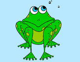 Coloring page Frog painted byHayley