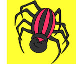 Coloring page Spider painted byKynKyn