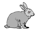 Coloring page Hare painted bykevinsuch