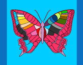 Coloring page Butterfly 16 painted byvane